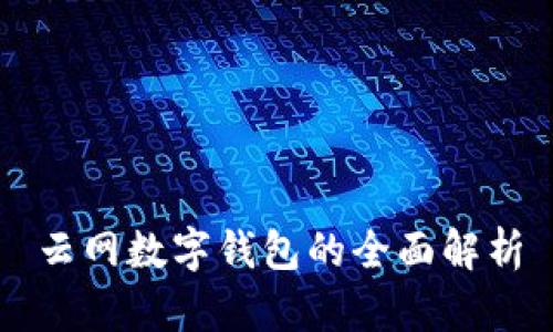 云网数字钱包的全面解析