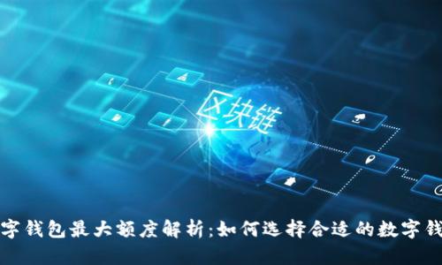  数字钱包最大额度解析：如何选择合适的数字钱包？