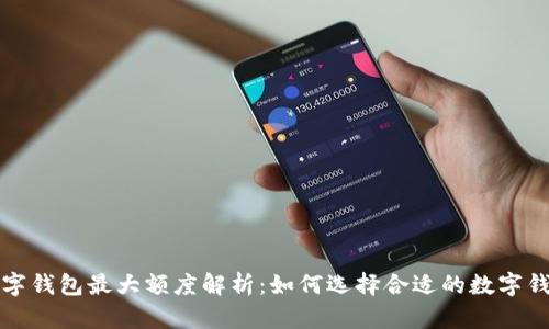  数字钱包最大额度解析：如何选择合适的数字钱包？