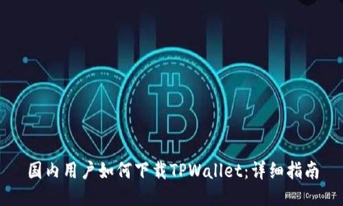 国内用户如何下载TPWallet：详细指南