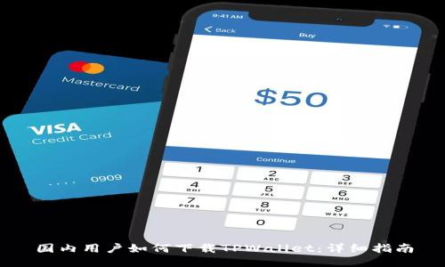 国内用户如何下载TPWallet：详细指南