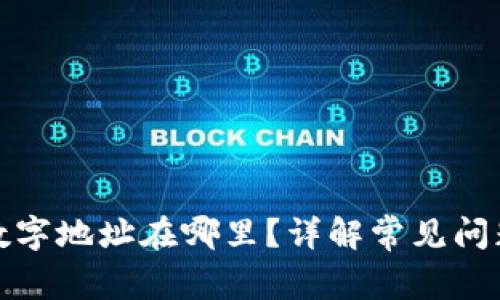 数字钱包的数字地址在哪里？详解常见问题与解决方案