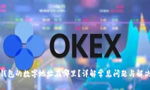 数字钱包的数字地址在哪里？详解常见问题与解决方案