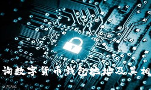 如何查询数字货币钱包地址及其相关信息