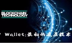 : TP Wallet：最初的底层技术