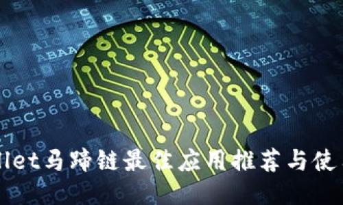 TPWallet马蹄链最佳应用推荐与使用指南