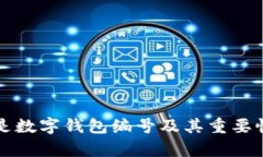 什么是数字钱包编号及其