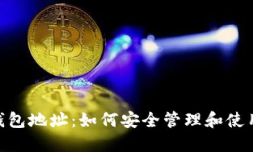 BUS数字钱包地址：如何安全管理和使用数字资产