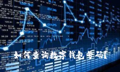 如何查询数字钱包号码？