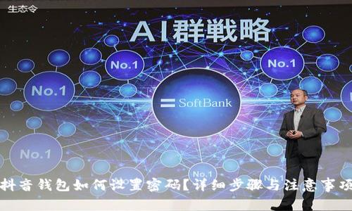 抖音钱包如何设置密码？详细步骤与注意事项