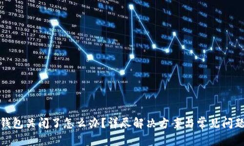 数字钱包关闭了怎么办？详尽解决方案与常见问题解析