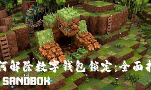 如何解除数字钱包锁定：全面指南
