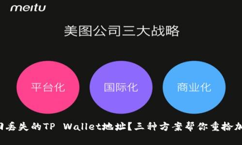 如何找回丢失的TP Wallet地址？三种方案帮你重拾加密资产！