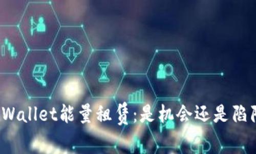TPWallet能量租赁：是机会还是陷阱？