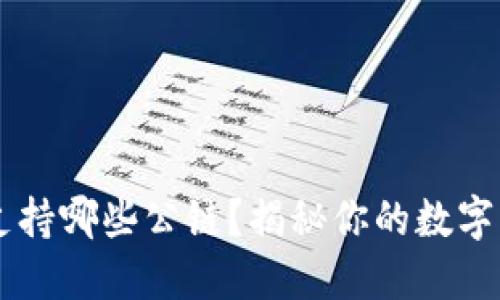 TPWallet支持哪些公链？揭秘你的数字资产新归属