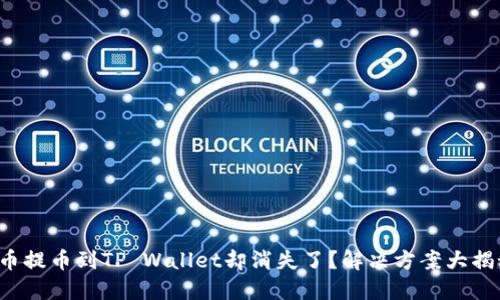 火币提币到TP Wallet却消失了？解决方案大揭秘！