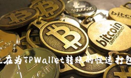 你是否也在为TPWallet转账的慢速打包而烦恼？