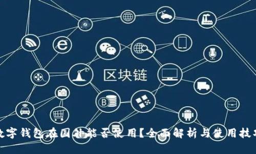 数字钱包在国外能否使用？全面解析与使用技巧