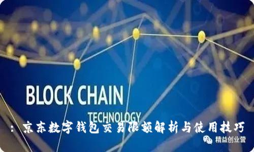 : 京东数字钱包交易限额解析与使用技巧