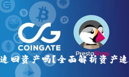 : tpwallet报警能追回资产吗？全面解析资产追回的可能性与步骤