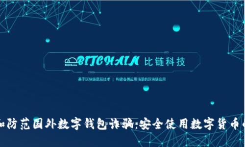 如何识别和防范国外数字钱包诈骗：安全使用数字货币的全面指南