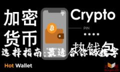 数字货币钱包选择指南：最适合你的数字资产存