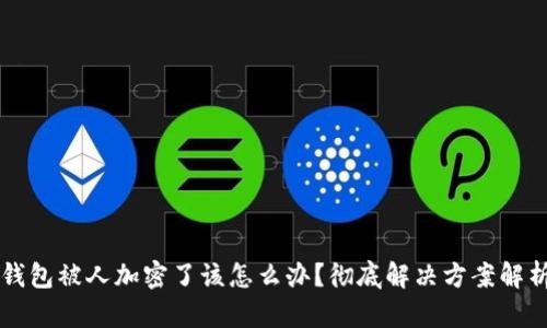 钱包被人加密了该怎么办？彻底解决方案解析