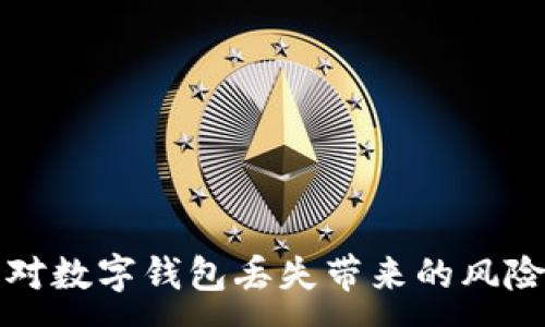 :

如何应对数字钱包丢失带来的风险与挑战