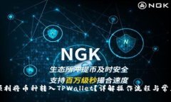 如何顺利将币种转入TPWallet？详解操作流程与常见